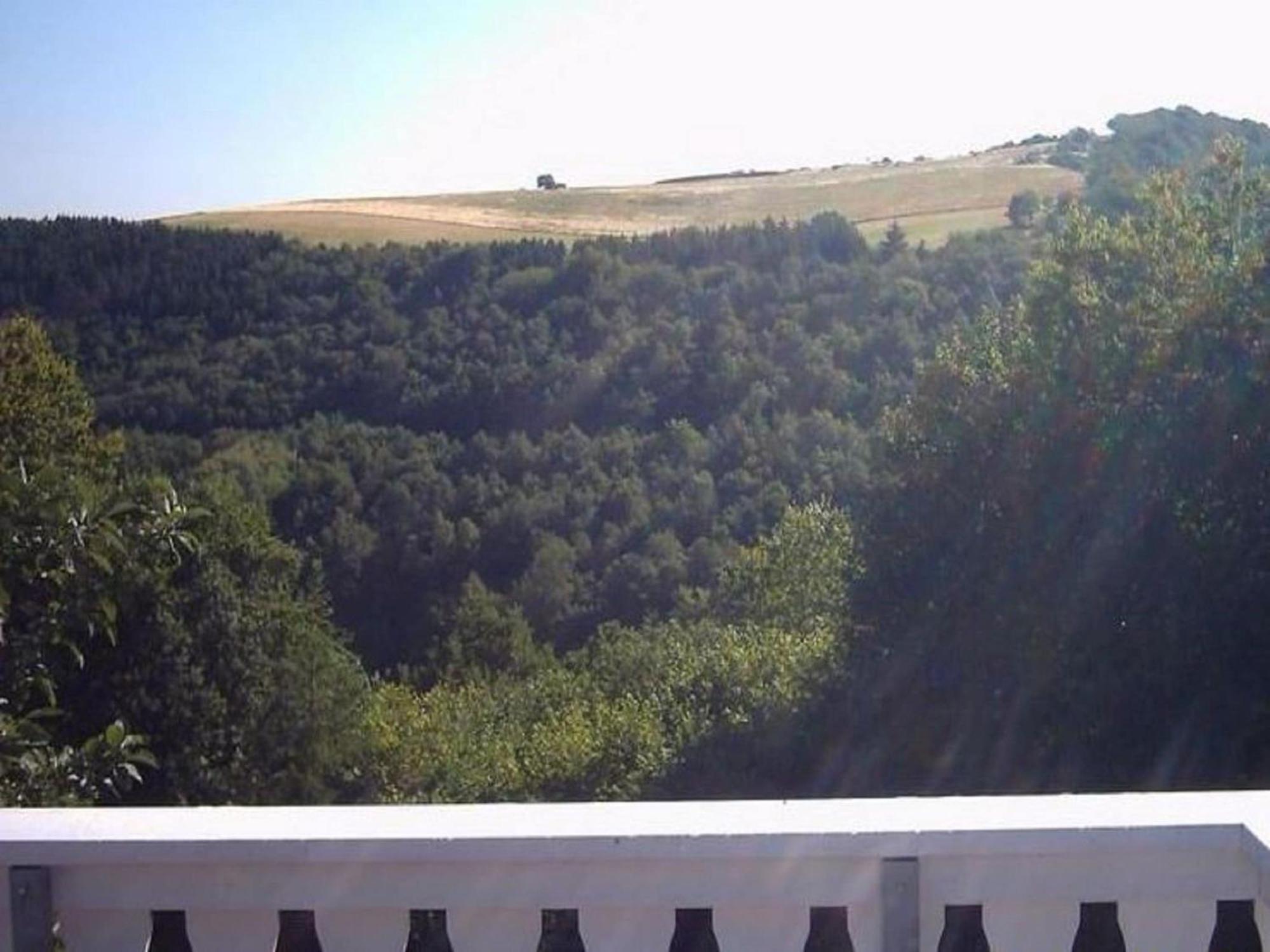 Charming Apartment In Morbach Germany With Terrace Thalfang Zewnętrze zdjęcie