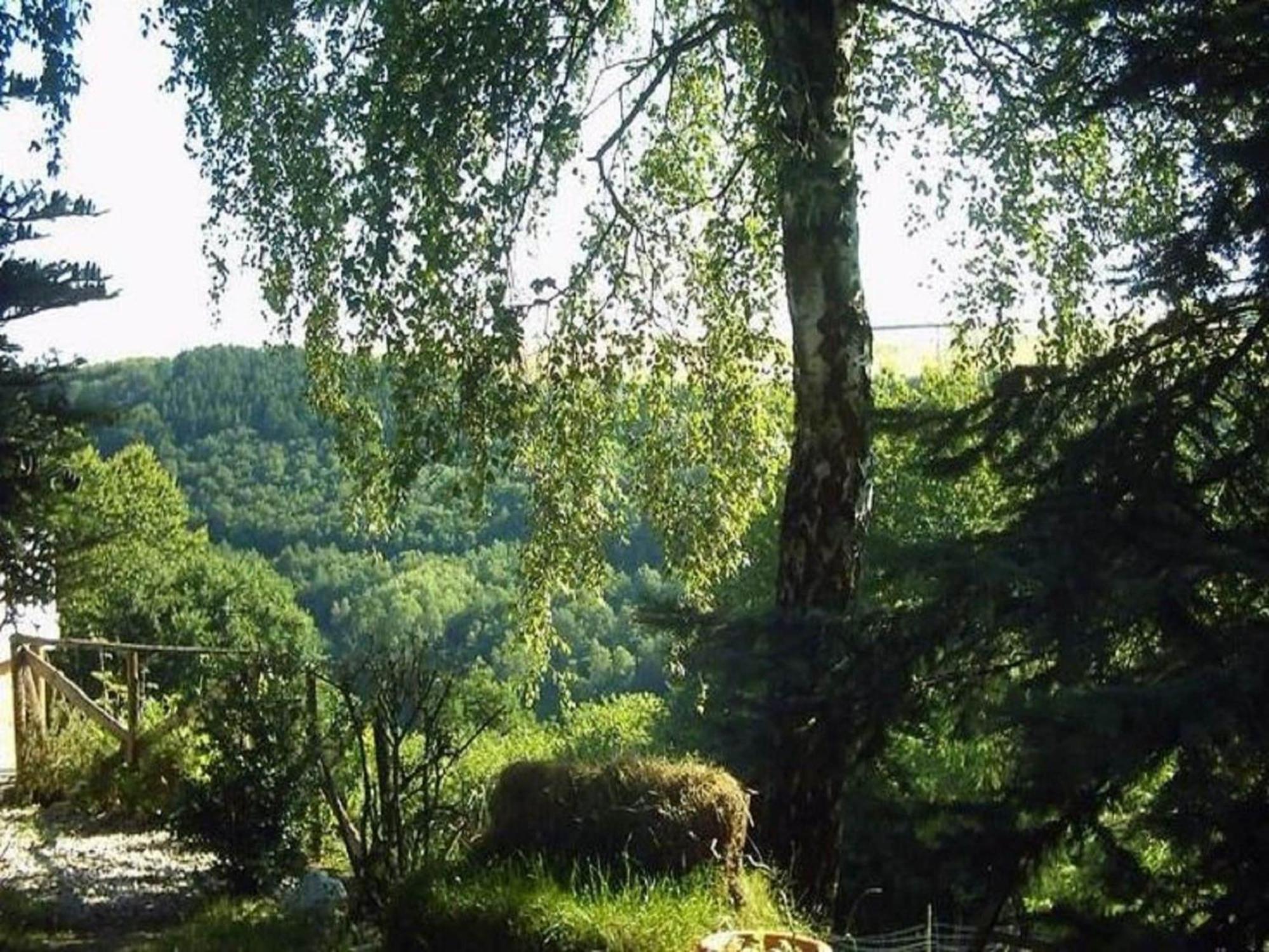 Charming Apartment In Morbach Germany With Terrace Thalfang Zewnętrze zdjęcie