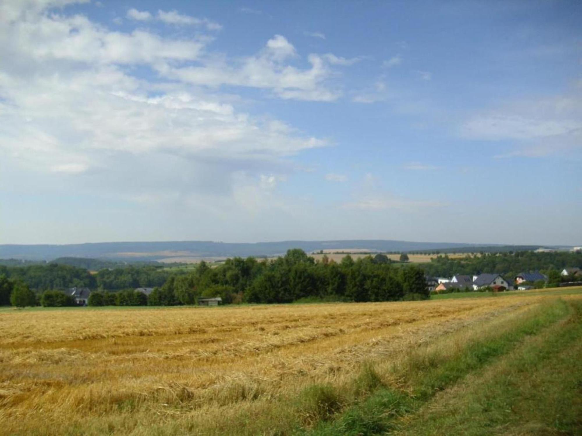 Charming Apartment In Morbach Germany With Terrace Thalfang Zewnętrze zdjęcie